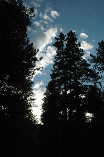 20070624Camping4329