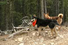 20070603Camping1666