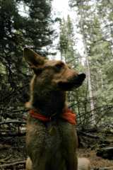 20070603Camping1807