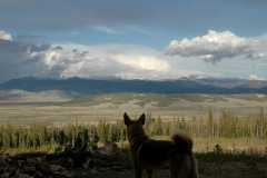 20070603Camping2013