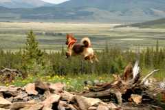 20070623Camping3712