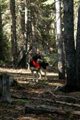 20070623Camping4081