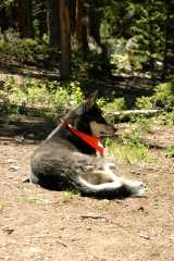 20070624Camping4154