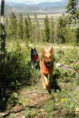 20070624Camping4196