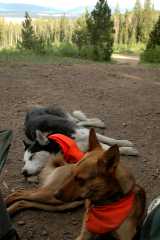 20070624Camping4266