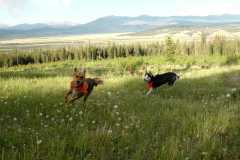 20070624Camping4274