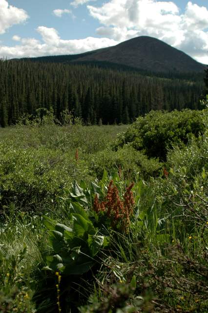 20070713Camping4672