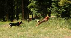20070713Camping4385