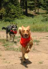 20070713Camping4394