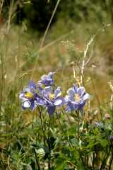 20070713Camping4415