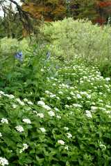 20070713Camping4427
