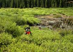 20070713Camping4601
