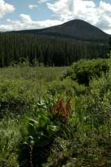 20070713Camping4672