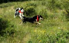 20070713Camping4681