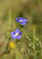 20070713Camping4748