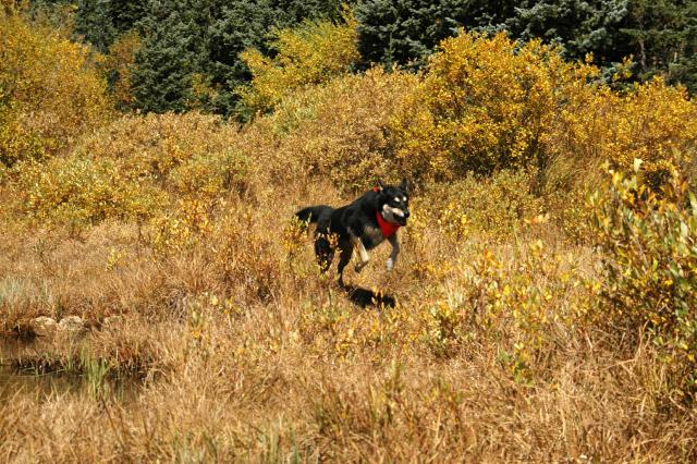 20070923FallColor5271