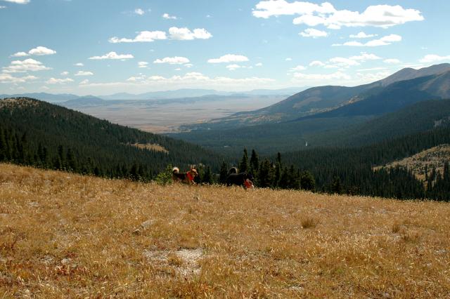 20070923FallColor5304