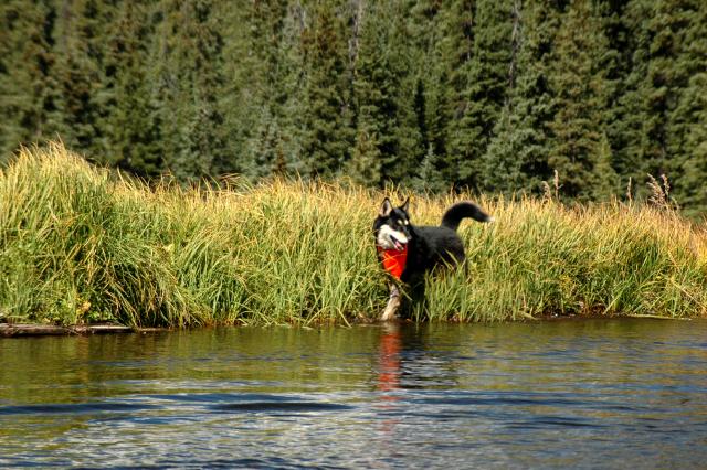 20070923FallColor5343