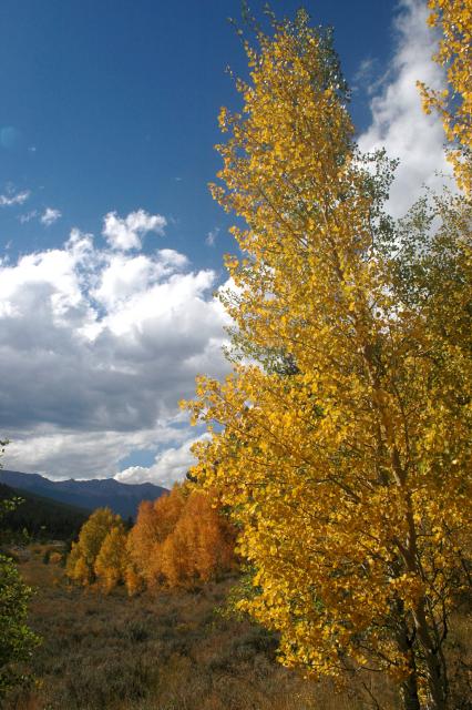 20070923FallColor5408