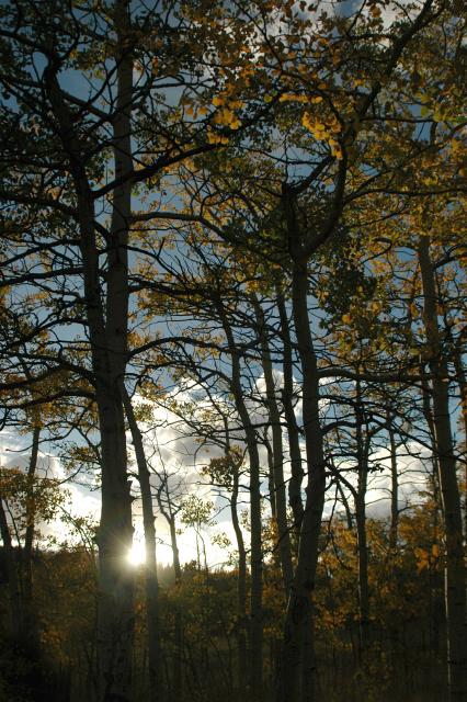 20070923FallColor5435