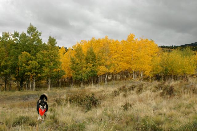 20070923FallColor5468