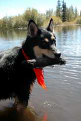 20070923FallColor5228
