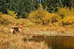 20070923FallColor5269