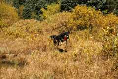 20070923FallColor5271