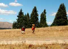 20070923FallColor5292