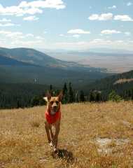 20070923FallColor5309
