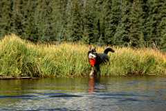 20070923FallColor5343