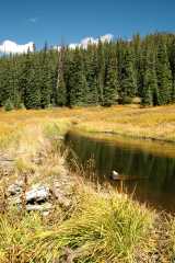 20070923FallColor5373
