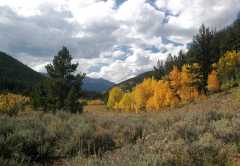 20070923FallColor5403