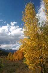 20070923FallColor5408