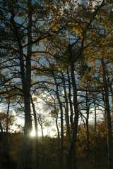 20070923FallColor5435