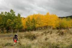 20070923FallColor5468