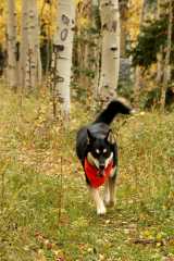 20070923FallColor5486