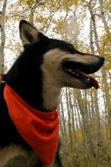 20070923FallColor5508