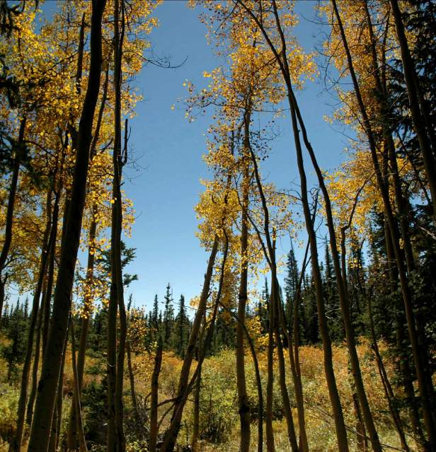 20070927FallColor5657-59