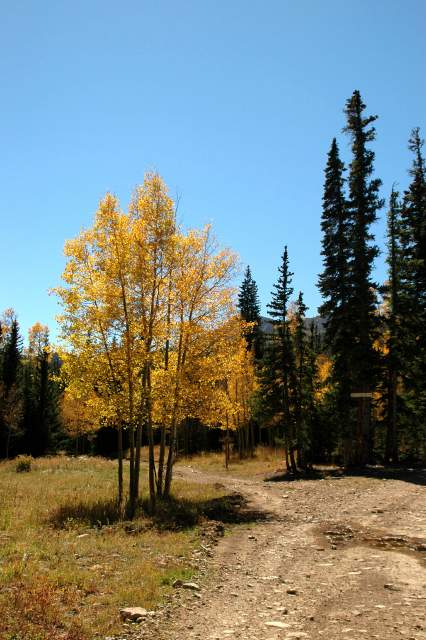 20070927FallColor5715