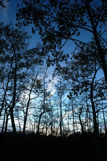 20070927FallColor6153
