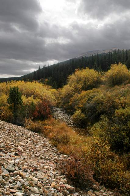20070928Fallcolor6368