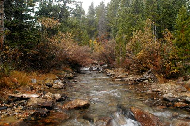 20070929FallColor6630