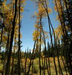 20070927FallColor5657-59