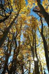 20070927FallColor5741