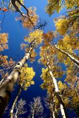 20070927FallColor5790