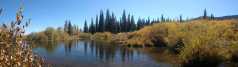 20070927FallColor5882-88