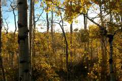 20070927FallColor6024