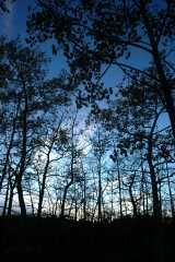 20070927FallColor6153