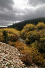 20070928Fallcolor6368